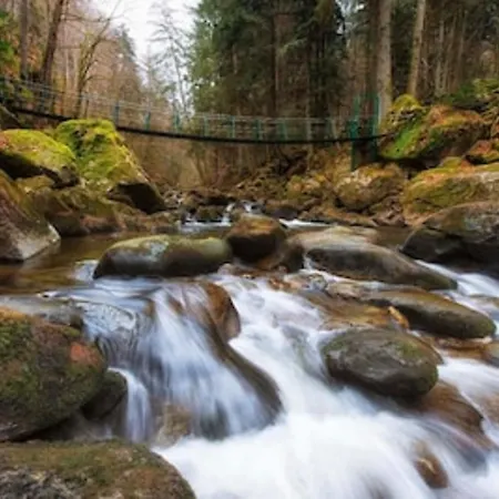 Ferien-appartement Vier Jahreszeiten Inkl Aktivcard Bayerischer Wald Apartament