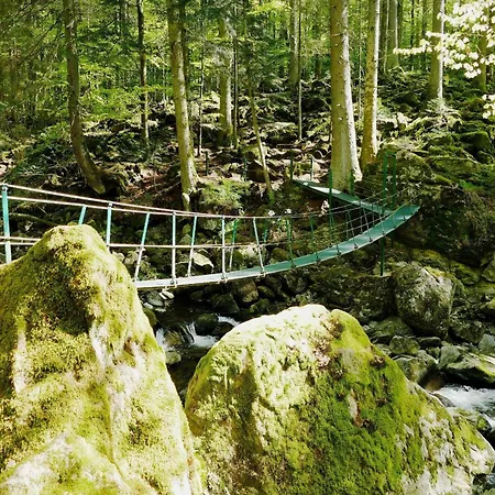 Ferien-appartement Vier Jahreszeiten Inkl Aktivcard Bayerischer Wald Freyung